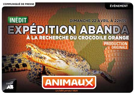 Expedition Abanda - elodie fertil - Animaux tv