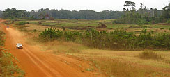 Route nationale du Gabon
